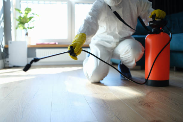 Reliable Odor Removal contractor in Hydes, MD by Trauma Clean Pros